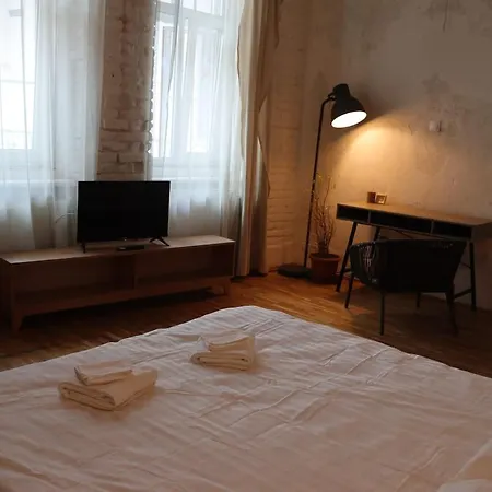 Eroilor - The Artsy Nest Apartman *