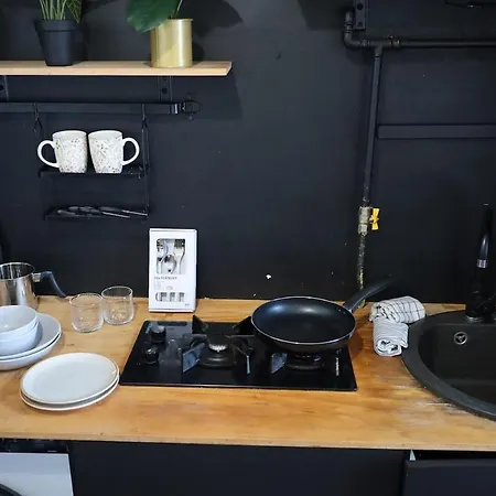 Eroilor - The Artsy Nest Apartman *